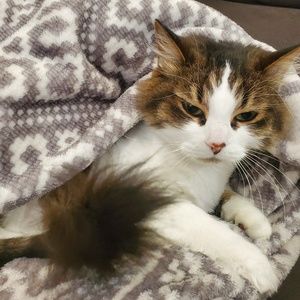 Meet your Posher, Julie